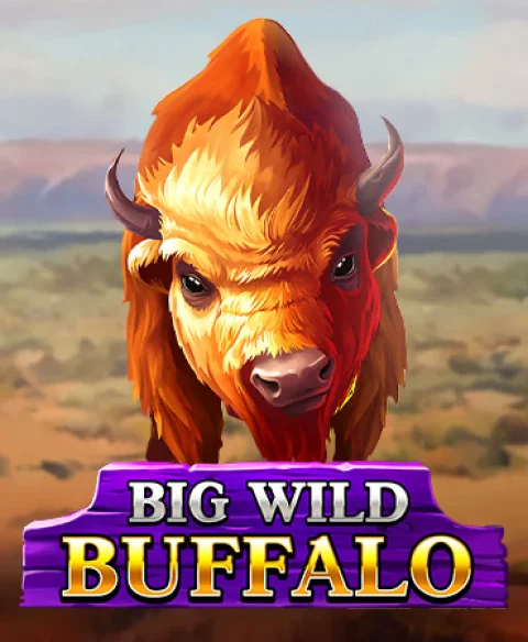 Play Big Wild Buffalo at Old Havana Casino